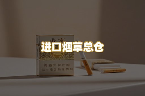 进口烟草总仓